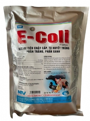 E - COLI 
