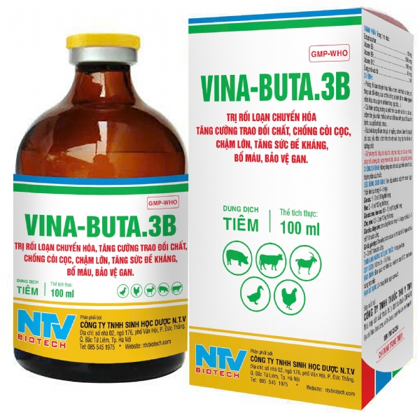VINA - BUTA.3B