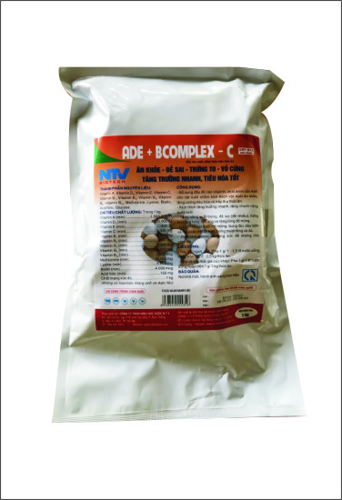ade-bcomplex-�-c|-tang-de-trung
