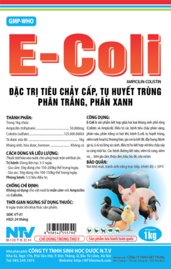 ecoli